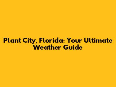 Plant City, Florida: Your Ultimate Weather Guide