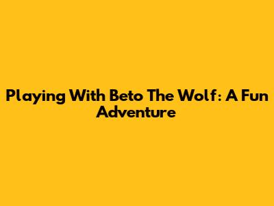 Playing With Beto The Wolf: A Fun Adventure