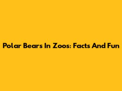 Polar Bears In Zoos: Facts And Fun