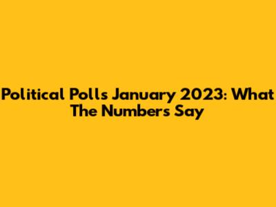 Political Polls January 2023: What The Numbers Say
