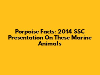 Porpoise Facts: 2014 SSC Presentation On These Marine Animals