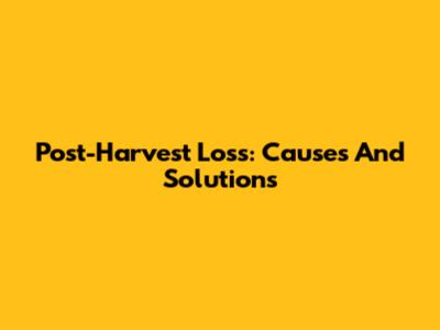 Post-Harvest Loss: Causes And Solutions
