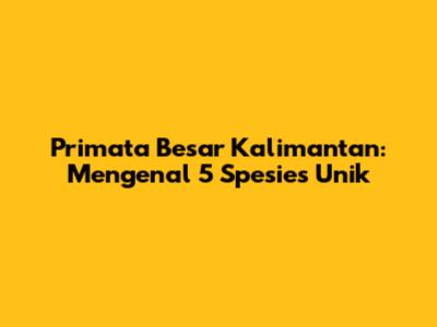 Primata Besar Kalimantan: Mengenal 5 Spesies Unik