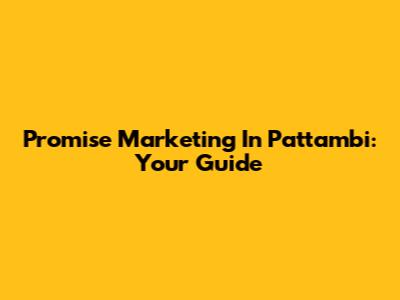 Promise Marketing In Pattambi: Your Guide