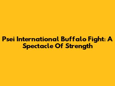 Psei International Buffalo Fight: A Spectacle Of Strength