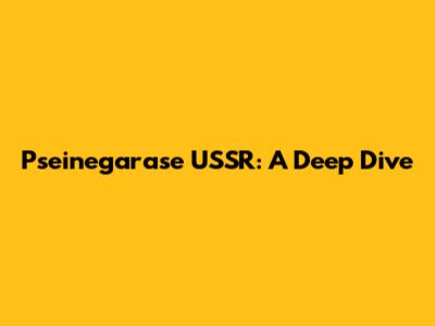 Pseinegarase USSR: A Deep Dive