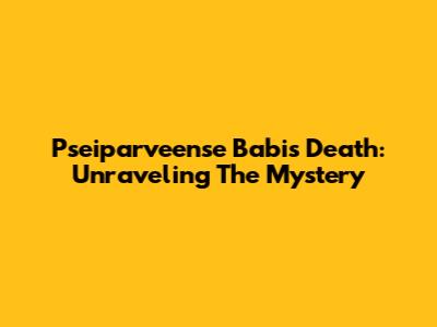 Pseiparveense Babi's Death: Unraveling The Mystery
