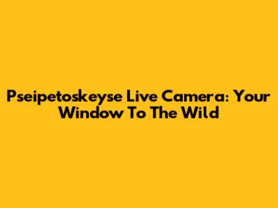Pseipetoskeyse Live Camera: Your Window To The Wild