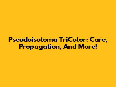 Pseudoisotoma TriColor: Care, Propagation, And More!