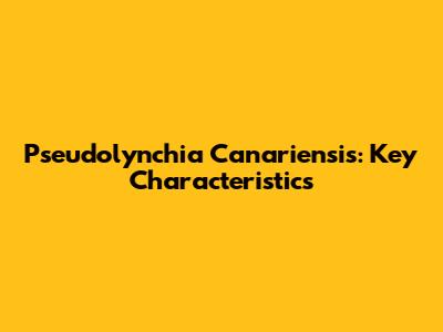 Pseudolynchia Canariensis: Key Characteristics