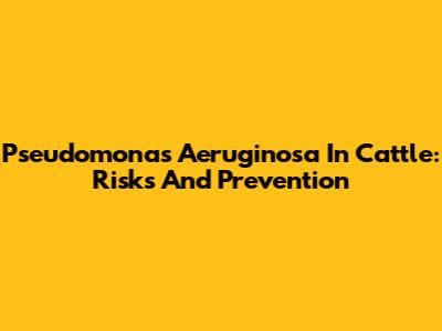 Pseudomonas Aeruginosa In Cattle: Risks And Prevention