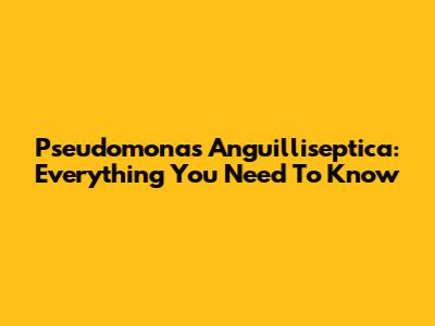 Pseudomonas Anguilliseptica: Everything You Need To Know