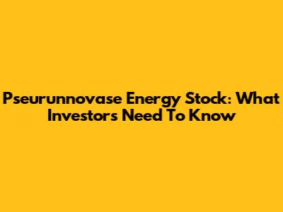 Pseurunnovase Energy Stock: What Investors Need To Know