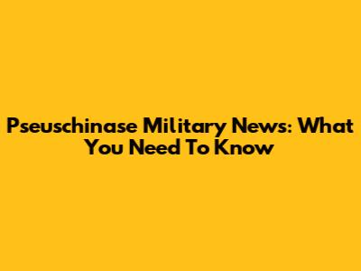 Pseuschinase Military News: What You Need To Know