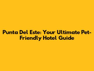 Punta Del Este: Your Ultimate Pet-Friendly Hotel Guide