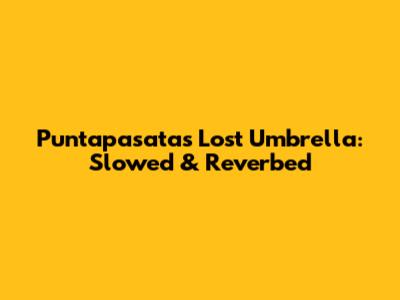Puntapasata's Lost Umbrella: Slowed & Reverbed