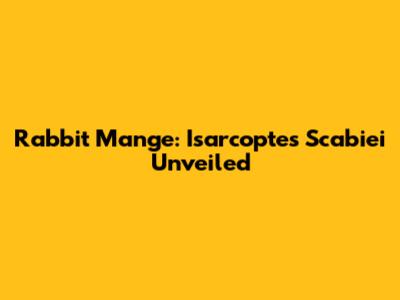 Rabbit Mange: Isarcoptes Scabiei Unveiled
