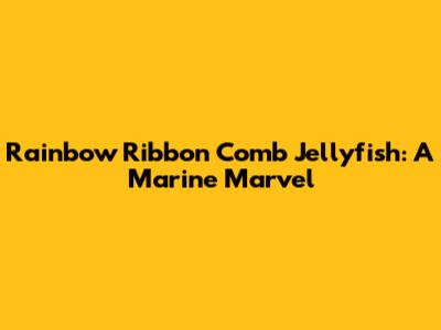 Rainbow Ribbon Comb Jellyfish: A Marine Marvel
