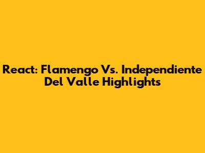 React: Flamengo Vs. Independiente Del Valle Highlights
