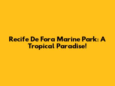 Recife De Fora Marine Park: A Tropical Paradise!
