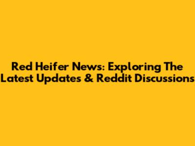 Red Heifer News: Exploring The Latest Updates & Reddit Discussions