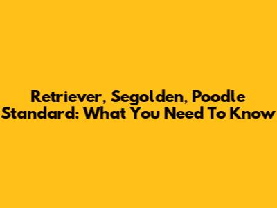 Retriever, Segolden, Poodle Standard: What You Need To Know