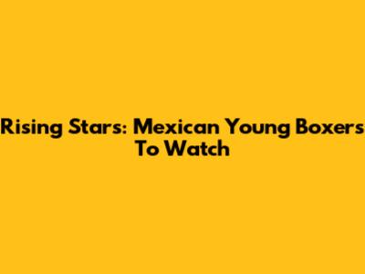 Rising Stars: Mexican Young Boxers To Watch