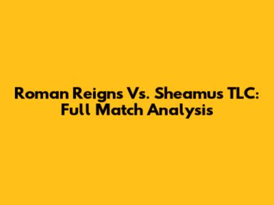 Roman Reigns Vs. Sheamus TLC: Full Match Analysis