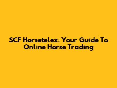 SCF Horsetelex: Your Guide To Online Horse Trading