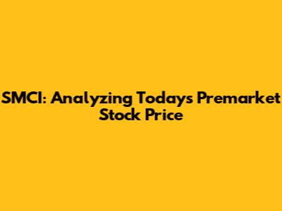SMCI: Analyzing Today's Premarket Stock Price