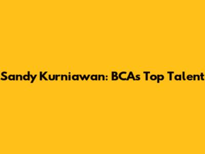 Sandy Kurniawan: BCA's Top Talent