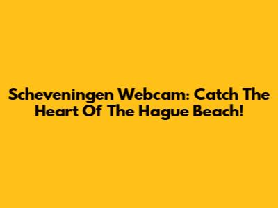 Scheveningen Webcam: Catch The Heart Of The Hague Beach!