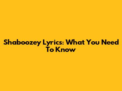 Shaboozey Lyrics: What You Need To Know