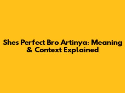 She's Perfect Bro Artinya: Meaning & Context Explained