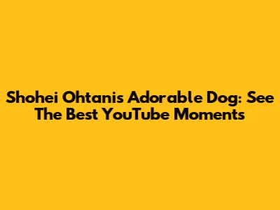 Shohei Ohtani's Adorable Dog: See The Best YouTube Moments