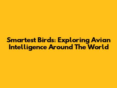 Smartest Birds: Exploring Avian Intelligence Around The World