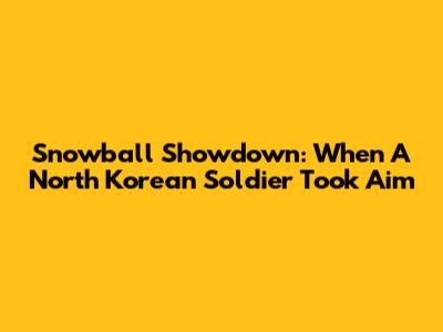 Snowball Showdown: When A North Korean Soldier Took Aim