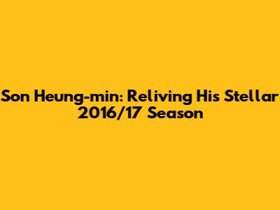 Son Heung-min: Reliving His Stellar 2016/17 Season