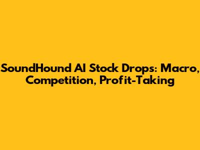 SoundHound AI Stock Drops: Macro, Competition, Profit-Taking