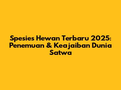 Spesies Hewan Terbaru 2025: Penemuan & Keajaiban Dunia Satwa
