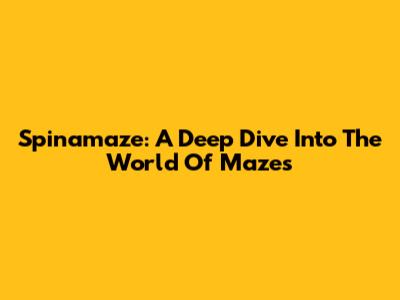Spinamaze: A Deep Dive Into The World Of Mazes