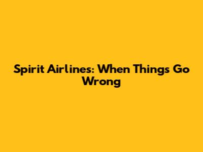 Spirit Airlines: When Things Go Wrong