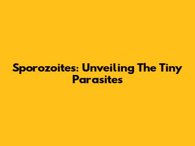 Sporozoites: Unveiling The Tiny Parasites