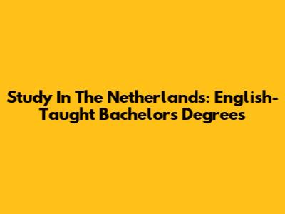 Study In The Netherlands: English-Taught Bachelor's Degrees
