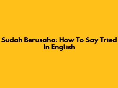 Sudah Berusaha: How To Say 'Tried' In English