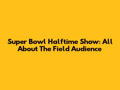 Super Bowl Halftime Show: All About The Field Audience