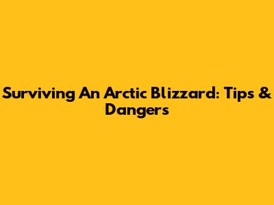 Surviving An Arctic Blizzard: Tips & Dangers