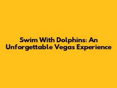Swim With Dolphins: An Unforgettable Vegas Experience