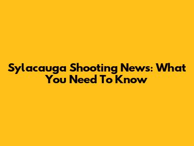 Sylacauga Shooting News: What You Need To Know