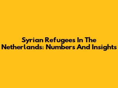 Syrian Refugees In The Netherlands: Numbers And Insights